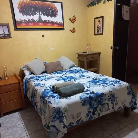 Casa Camilo - Cozy, Beautiful And Nice Separe Room サン・ミゲル・デ・アジェンデ エクステリア 写真