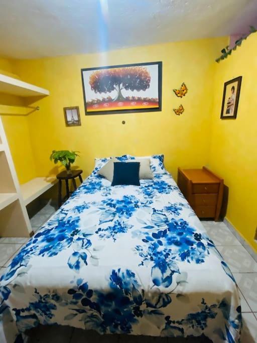 Casa Camilo - Cozy, Beautiful And Nice Separe Room サン・ミゲル・デ・アジェンデ エクステリア 写真