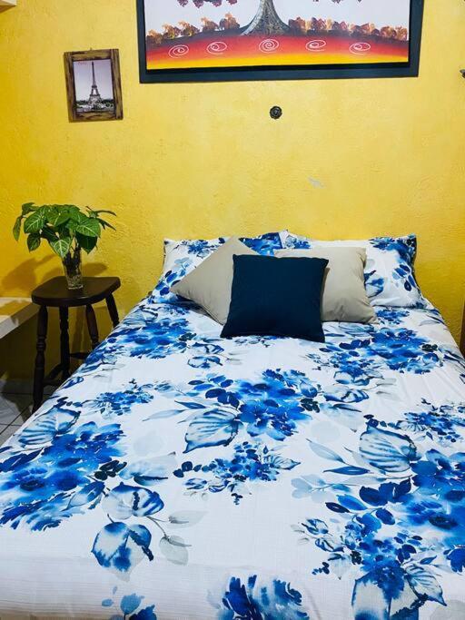 Casa Camilo - Cozy, Beautiful And Nice Separe Room サン・ミゲル・デ・アジェンデ エクステリア 写真