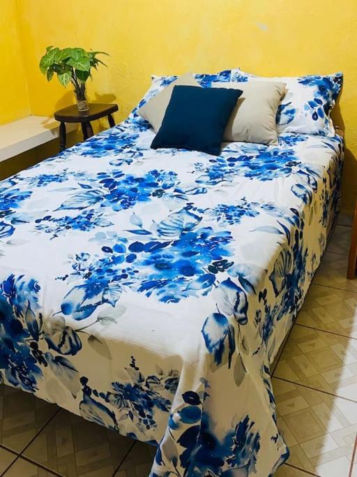 Casa Camilo - Cozy, Beautiful And Nice Separe Room サン・ミゲル・デ・アジェンデ エクステリア 写真